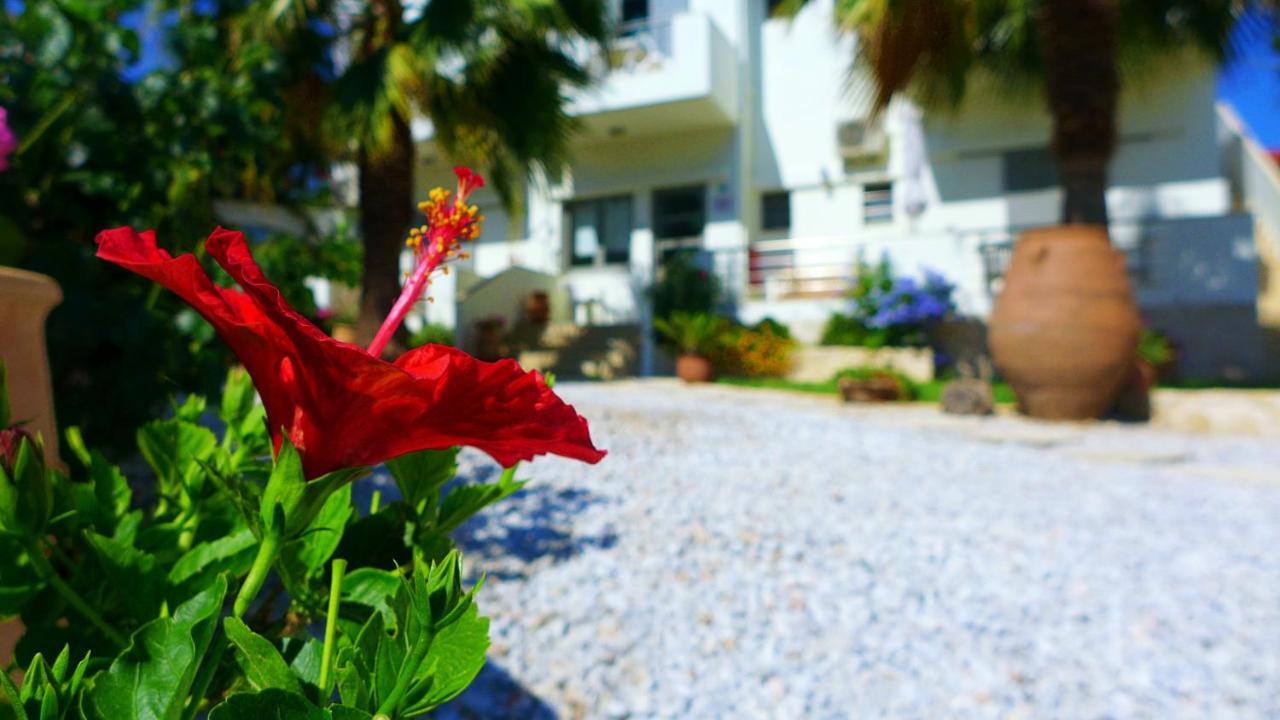Lion-Suites Kalyves Extérieur photo